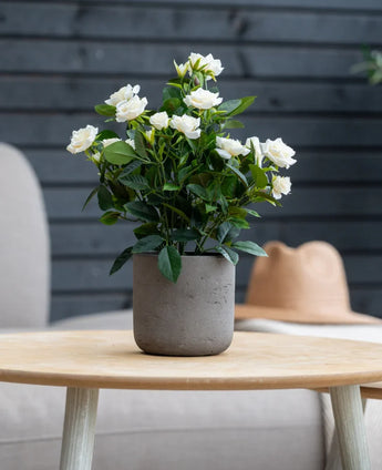 On a light wooden table is an Artificial Plant Patio rose of 35 cm in the color cream UV with white blossoms. In the background are a gray wall, a beige chair and a light brown hat.
