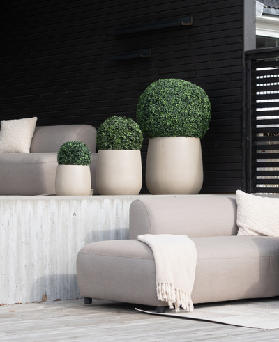 A modern patio has beige seat cushions, a cream blanket and four Artificial Boxwood roman style UV D30cm topiary plants in light colored pots against a dark wood paneled wall.