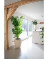 Artificial plant Phoenix 160 cm - Easyplants Artificial Plants & Flowers