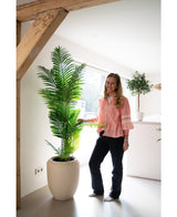 Artificial plant Phoenix 160 cm - Easyplants Artificial Plants & Flowers