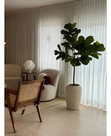 Artificial Plant Ficus Tabakplant Deluxe 155 cm - Easyplants Artificial Plants & Flowers