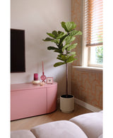 Artificial Plant Ficus Tabakplant Deluxe 155 cm - Easyplants Artificial Plants & Flowers