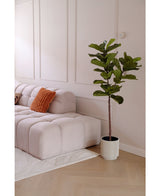 Artificial Plant Ficus Tabakplant Deluxe 155 cm - Easyplants Artificial Plants & Flowers