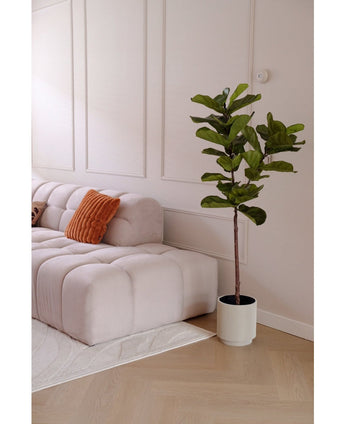 Artificial Plant Ficus Tabakplant Deluxe 155 cm - Easyplants Artificial Plants & Flowers