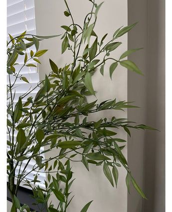 Artificial plant Ruscus 120 cm - Easyplants Artificial Plants & Flowers