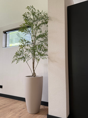 Artificial plant Ruscus 150 cm - Easyplants Artificial Plants & Flowers