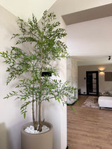 Artificial plant Ruscus 150 cm - Easyplants Artificial Plants & Flowers
