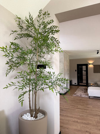 Artificial plant Ruscus 150 cm - Easyplants Artificial Plants & Flowers