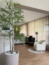 Artificial plant Ruscus 150 cm - Easyplants Artificial Plants & Flowers