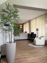 Artificial plant Ruscus 150 cm - Easyplants Artificial Plants & Flowers