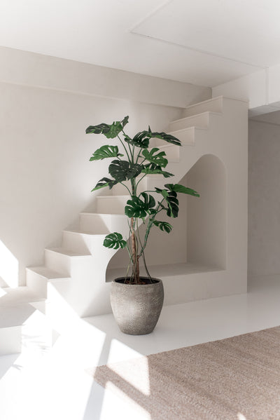 De Kunstplant Monstera 210 cm staat in een minimaal, zonovergoten interieur met witte muren, moderne lijnen, een trap en een beige vloerkleed. Zacht natuurlijk licht benadrukt het strakke ontwerp van de ruimte.