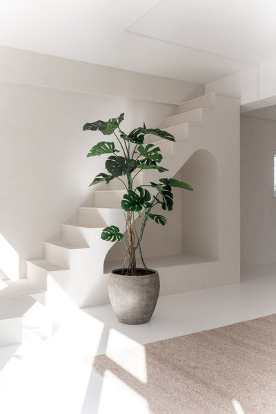 De Kunstplant Monstera 210 cm, met brede groene bladeren, staat op een witte vloer in een lichte, minimalistische kamer met witte muren, een trap en natuurlijk zonlicht.