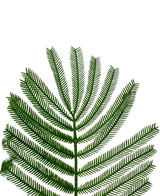 Artificial sailing plant 180 cm - Easyplants Artificial Plants & Flowers