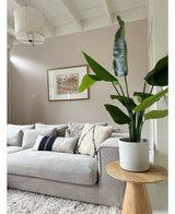 Artificial plant Strelitzia Real Touch Deluxe 120 cm - Easyplants Artificial Plants & Flowers