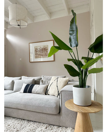 Artificial plant Strelitzia Real Touch Deluxe 120 cm - Easyplants Artificial Plants & Flowers