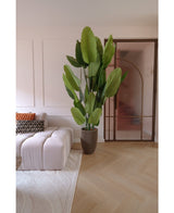 Artificial plant Strelitzia Real Touch Deluxe 210 cm - Easyplants Artificial Plants & Flowers
