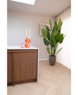 Artificial plant Strelitzia Real Touch Deluxe 210 cm - Easyplants Artificial Plants & Flowers