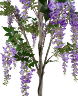 Artificial plant bluishegen 210 cm - Easyplants Artificial Plants & Flowers