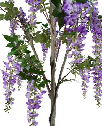 Artificial plant bluishegen 210 cm - Easyplants Artificial Plants & Flowers