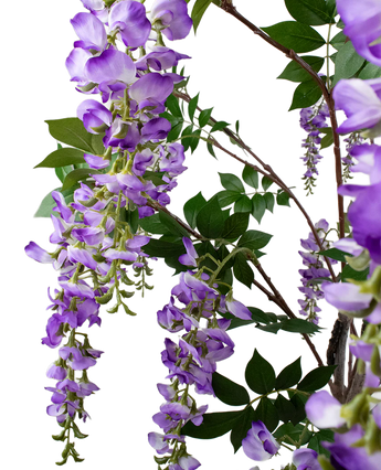 Artificial plant bluishegen 210 cm - Easyplants Artificial Plants & Flowers