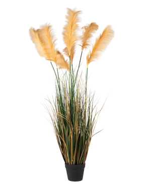 Artificial Pampas grass 200 cm fire-retardant