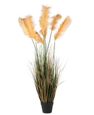 Een Kunst Pampasgras van 200 cm, een brandvertragende plant met lange, groene bladeren en hoge, vederachtige, lichtgouden pluimen, afgebeeld tegen een effen witte achtergrond.
