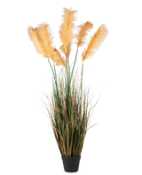 A 200 cm Artificial Pampas Grass, a fire retardant plant with long, green leaves and tall, feathery, light gold plumes, depicted against a plain white background.