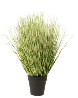 De Kunst Grasplant Zebra 55 cm heeft lange, dunne groene en witte bonte grasachtige bladeren in een eenvoudige zwarte pot, tegen een effen witte achtergrond.
