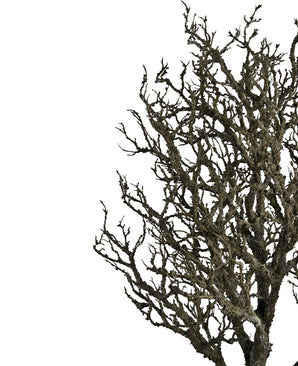 Artificial decoration tree with branches 180 cm - Easyplants Artificial Plants & Flowers
