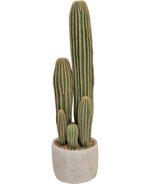 Artificial cactus 59 cm - Easyplants Artificial Plants & Flowers