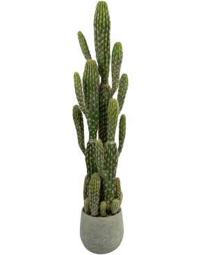 Artificial cactus 100 cm - Easyplants Artificial Plants & Flowers