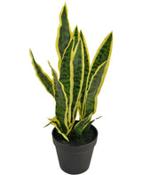 Artificial plant Sansevieria Laurentii 44 cm in Sierpot - Easyplants Artificial Plants & Flowers