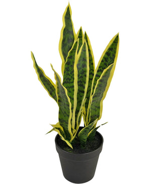 Artificial plant Sansevieria Laurentii 44 cm in Sierpot - Easyplants Artificial Plants & Flowers