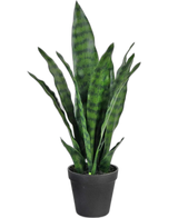 Artificial plant Sansevieria Zeylanica 44 cm - Easyplants Artificial Plants & Flowers