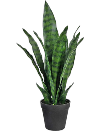 Artificial plant Sansevieria Zeylanica 44 cm - Easyplants Artificial Plants & Flowers