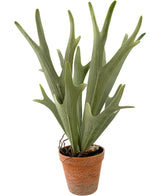 Artificial plant sailing Staghorn 43 cm - Easyplants Artificial Plants & Flowers