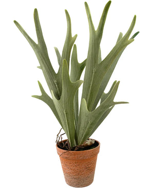 Artificial plant sailing Staghorn 43 cm - Easyplants Artificial Plants & Flowers