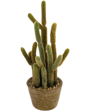 Artificial Cactus Cereus 35 cm - Easyplants Artificial Plants & Flowers