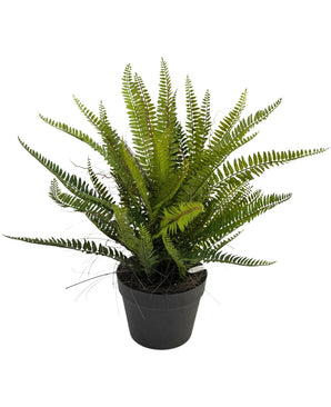 Artificial plant boston sail 53 cm - Easyplants Artificial Plants & Flowers