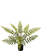 Artificial plant sailing 68 cm - Easyplants Artificial Plants & Flowers
