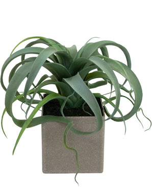Artificial fat plant in pot 24 cm - Easyplants Artificial Plants & Flowers