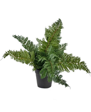 Artificial plant sailing 33 cm - Easyplants Artificial Plants & Flowers