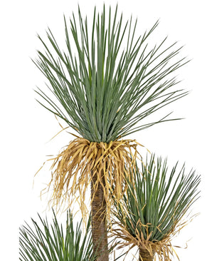 Artificial plant Yucca Deluxe 182 cm - Easyplants Artificial Plants & Flowers