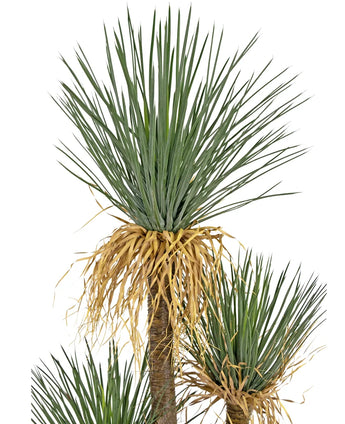 Artificial plant Yucca Deluxe 182 cm - Easyplants Artificial Plants & Flowers