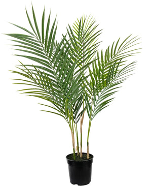 Artificial palm Chamaedorea 71 cm