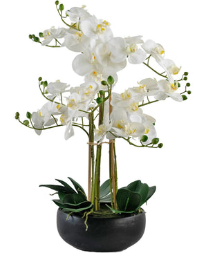 Artificial Orchid Real Touch 50 cm White in Pot Black