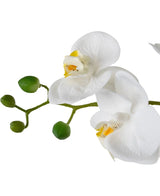 Artificial Orchid Real Touch 50 cm White in Pot White - Easyplants Artificial Plants & Flowers