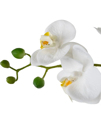 Artificial Orchid Real Touch 50 cm White in Pot White - Easyplants Artificial Plants & Flowers