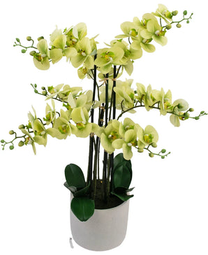 Artificial Orchid Real Touch 81 cm Green