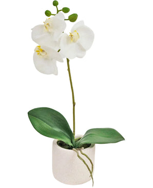 Artificial Orchid Real Touch 30 cm White